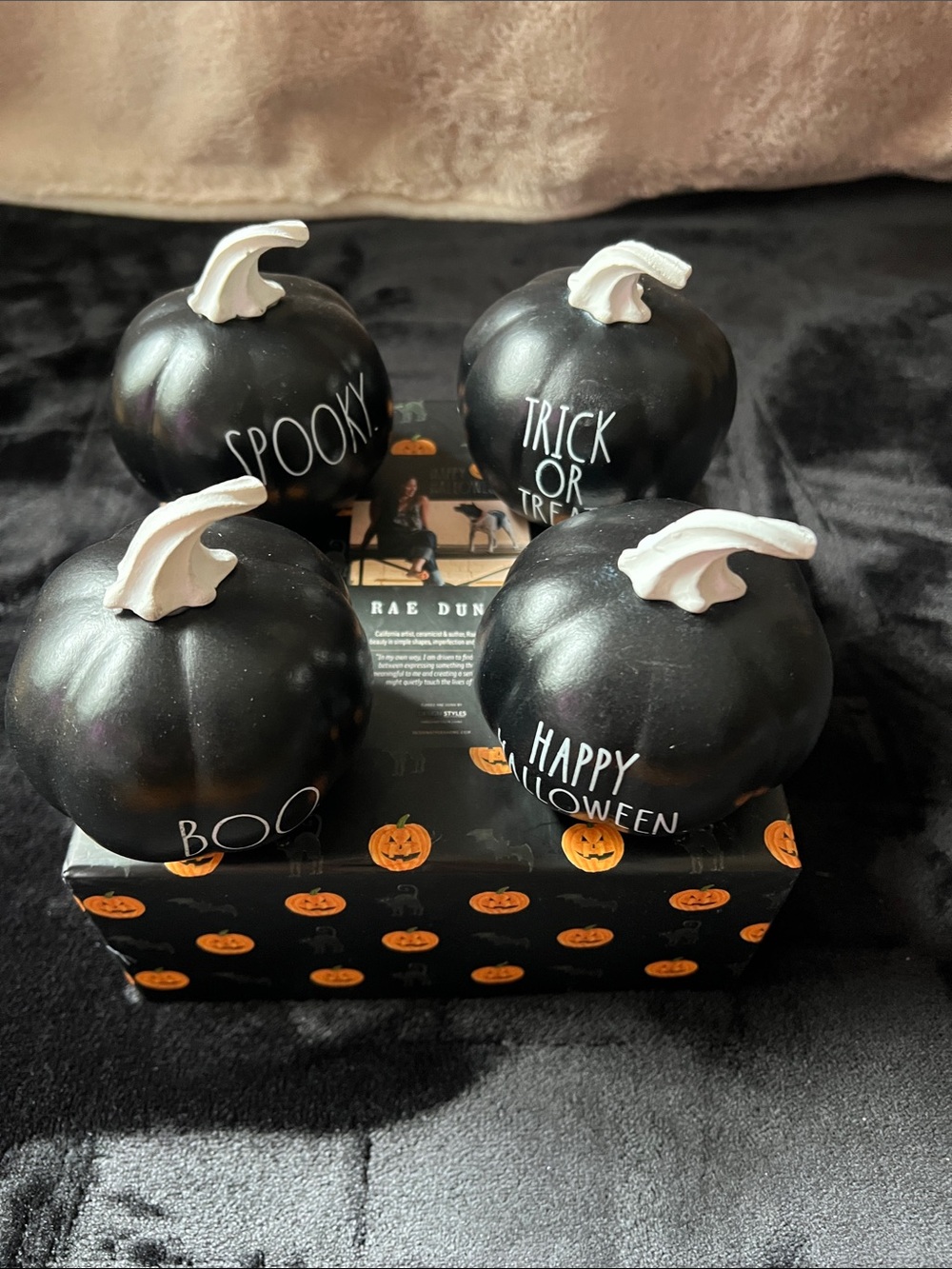 Rae Dunn Black Halloween Pumpkin Set with White Stems